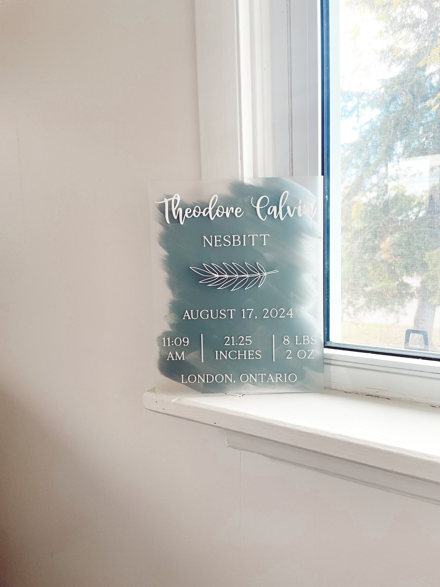 Custom Acrylic Birth Announcement Sign