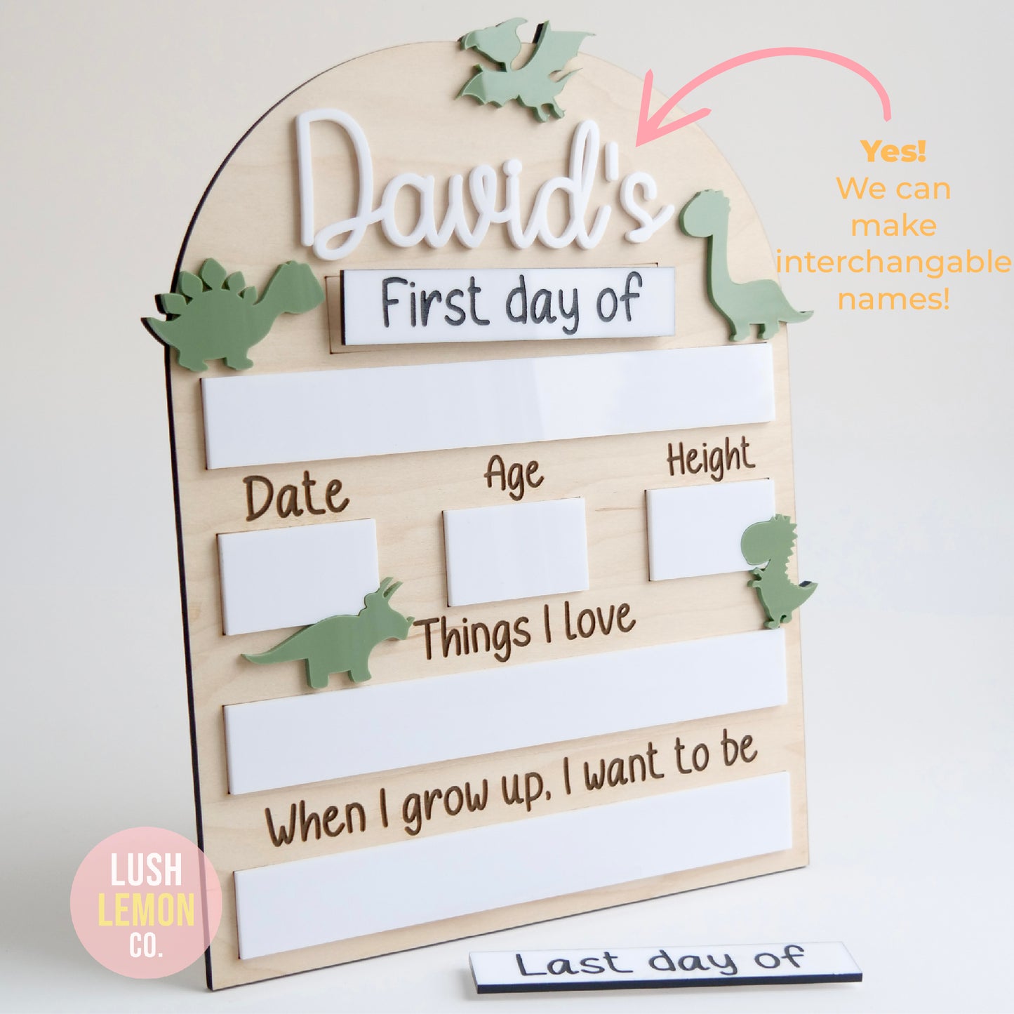 Dinosaur Back To School Photo Prop with Interchangeable Names